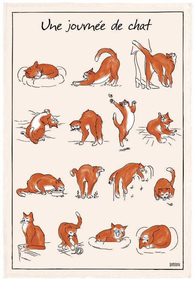 Torchon journée de chat WINKLER