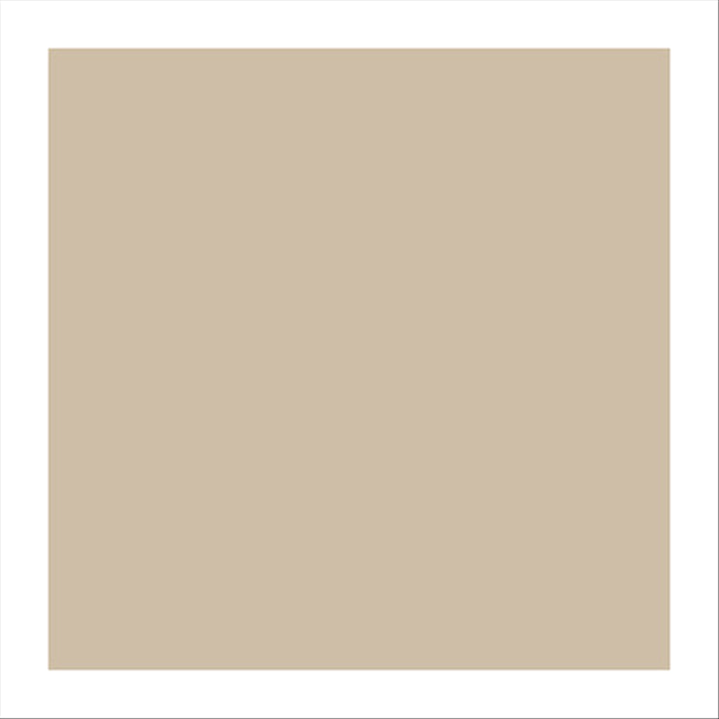Emballages ingraissable 31x38cm naturel kraft - vendu par 1000 (PU 0,02€)