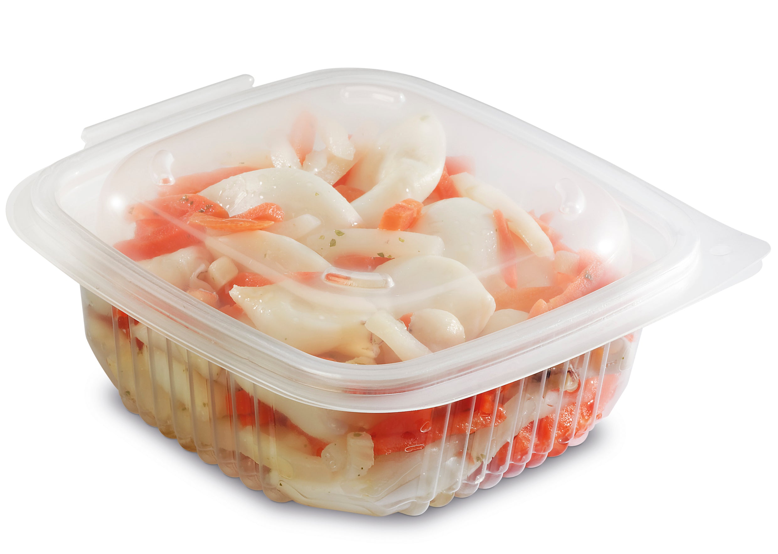 BOITE COUVERCLE CHARNIERE ONDIPACK CHAUD PLASTIQUE TRANSPARENT 250ML VENDU PAR 900 - OK250