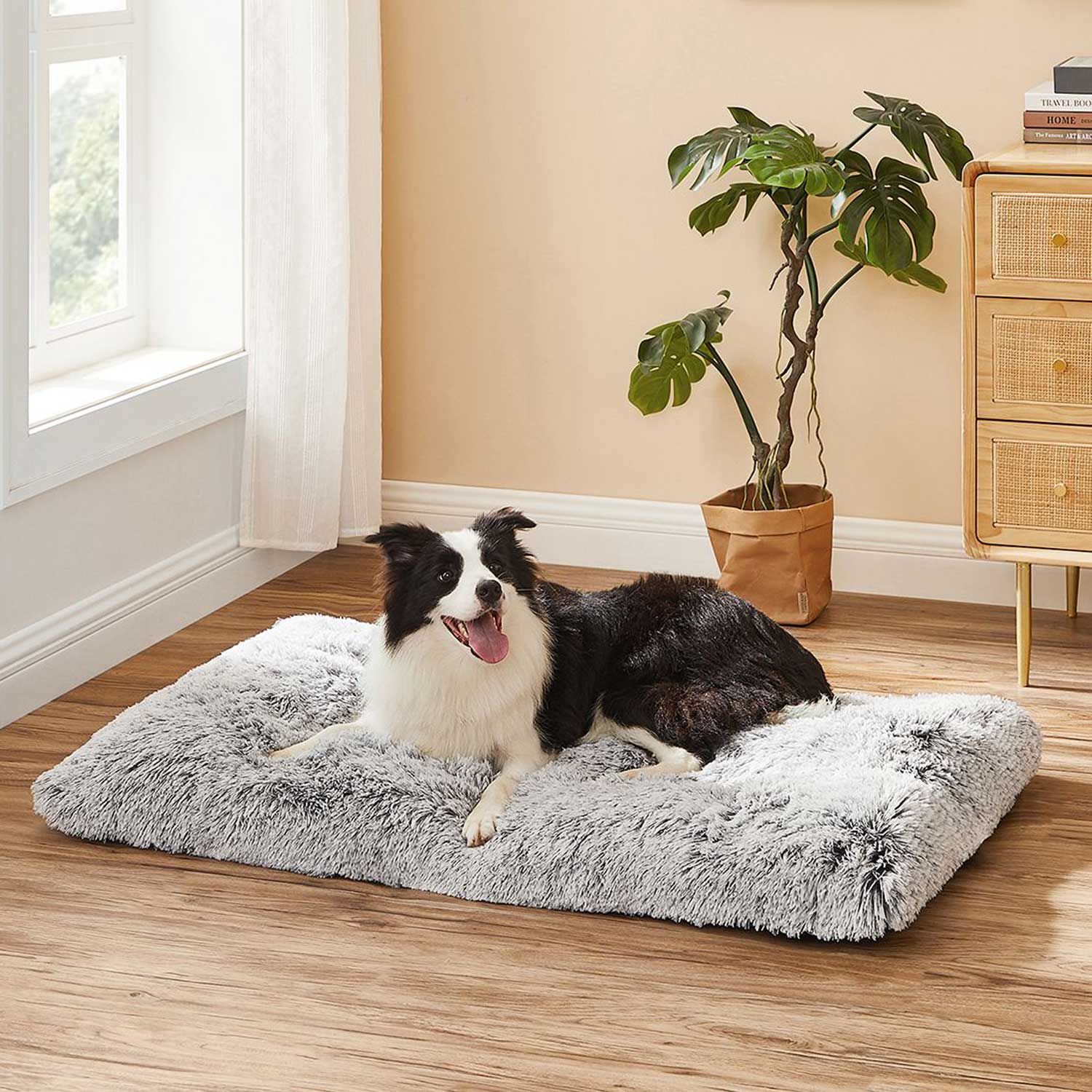 Feandrea - Panier pour Chien, Canapé, Lit pour Animaux, 110 x 73 cm, Rembourrage Moelleux, Lavable, Coussin pour Chien, Gris Ombré