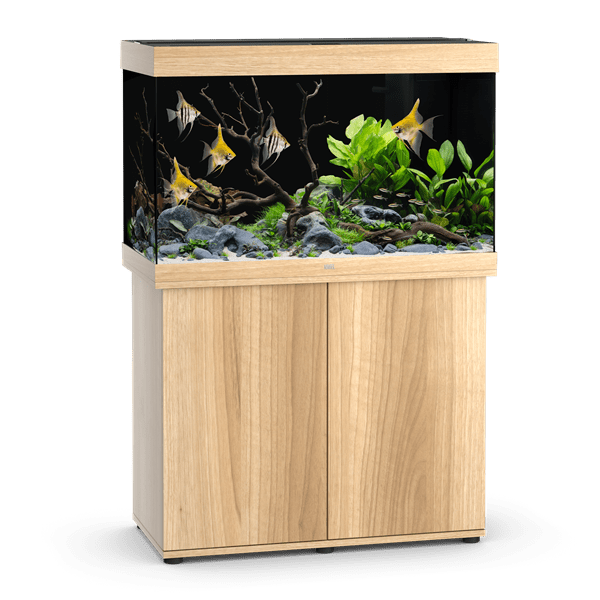 Aquarium Rio 290 LED Chêne Équipé JUWEL - 290L