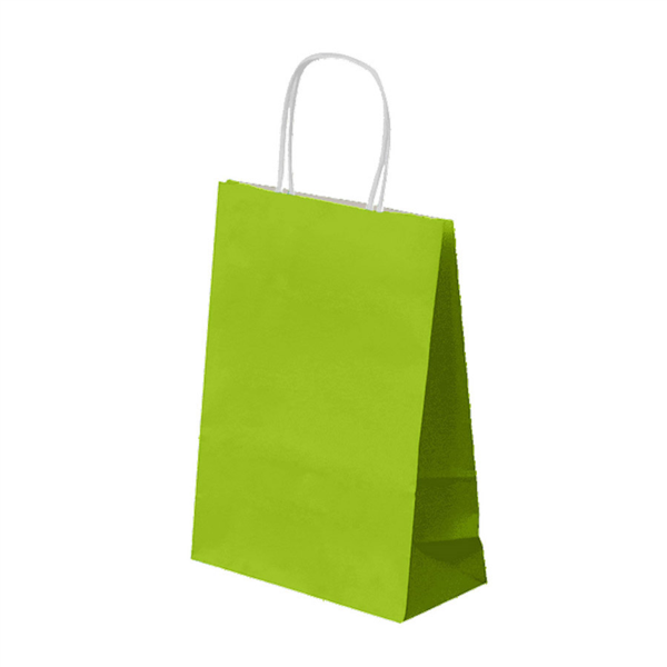 Sac papier kraft avec anses 20+10x29cm vert anis cellulose - vendu par 250 (PU 0,23€)