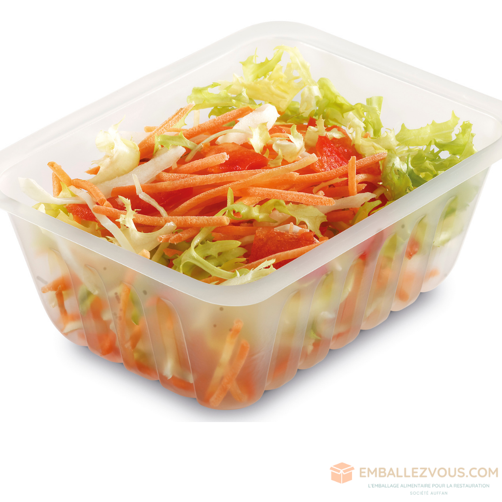 BARQUETTE FRITE CAISSIPACK PLASTIQUE TRANSPARENT 500ML VENDU PAR 1500 - BT500