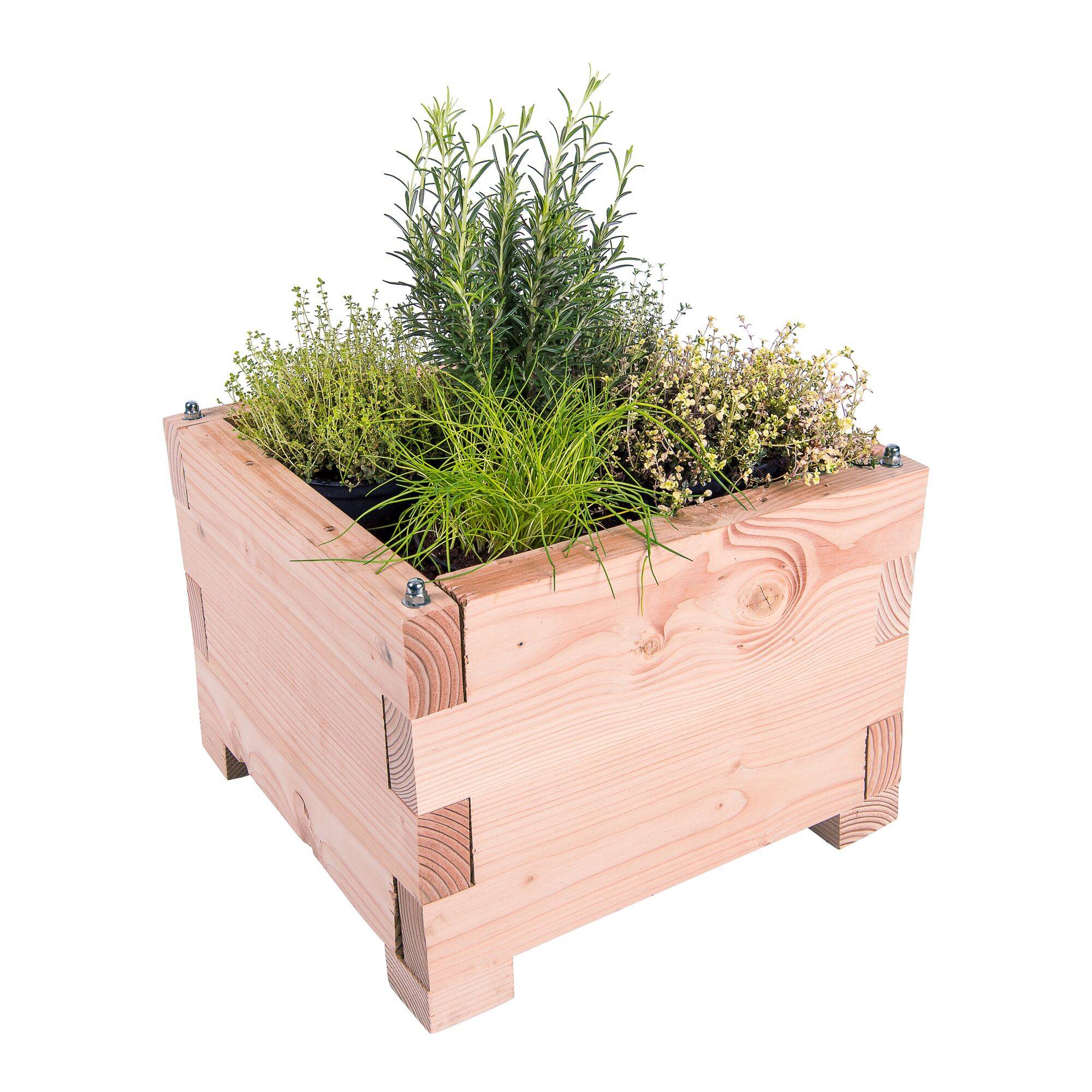 Carré de Potager Little en Bois LE CARRE FANTASTIK