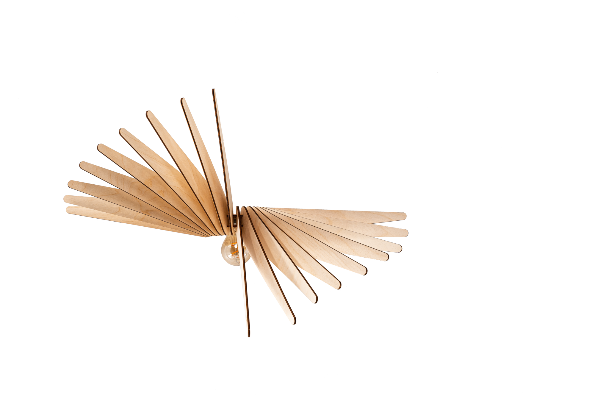 Applique Albatros ATELIER LOUPIOTE