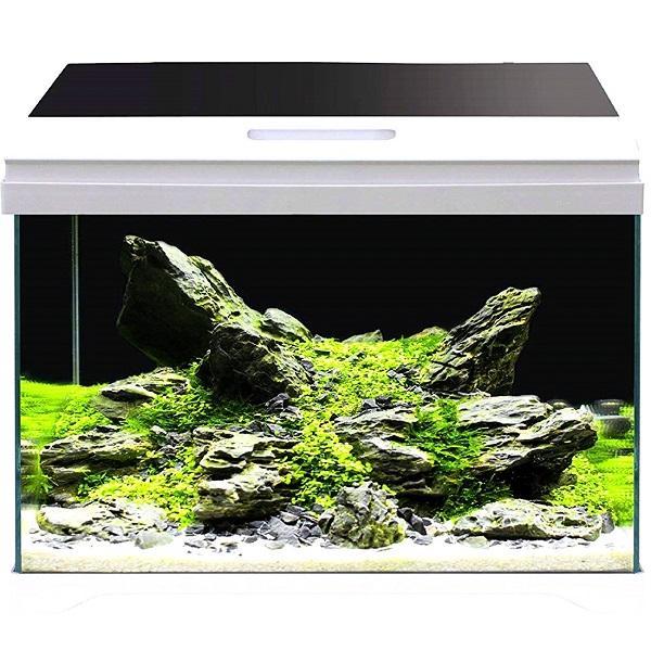 Nano Aquarium Modern Tank 50 LED Équipé AMTRA - 40L