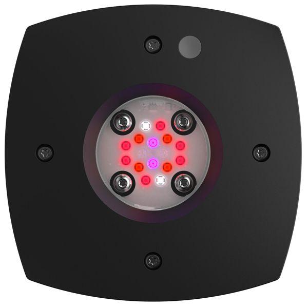 AI Prime Fuge noir AQUA ILLUMINATION 46W - Rampe LED pour Refuge