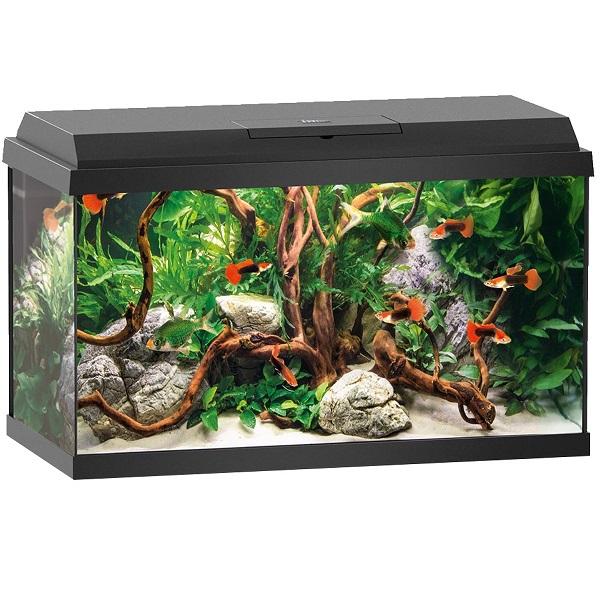 Aquarium Primo 60 LED Équipé JUWEL - 57L