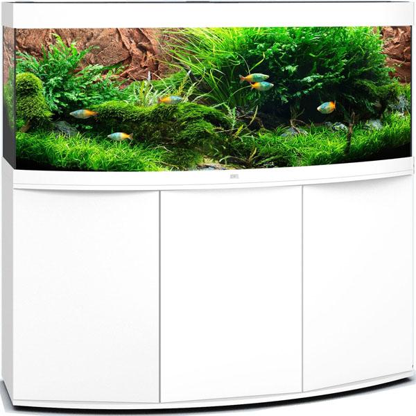 Aquarium Vision 450 LED Blanc Tout Équipé JUWEL - 450L