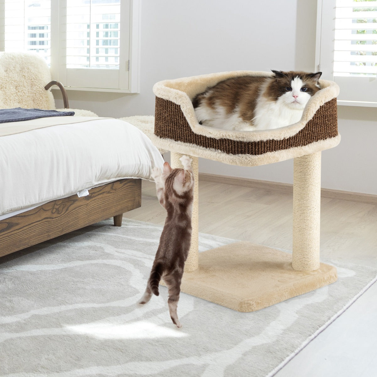 Costway - Arbre à Chat, Griffoir Chat, Compacte avec Perchoir en Peluche et Griffoirs pour se Faire ses Griffes, Tour d'Arbre à Chat, Beige