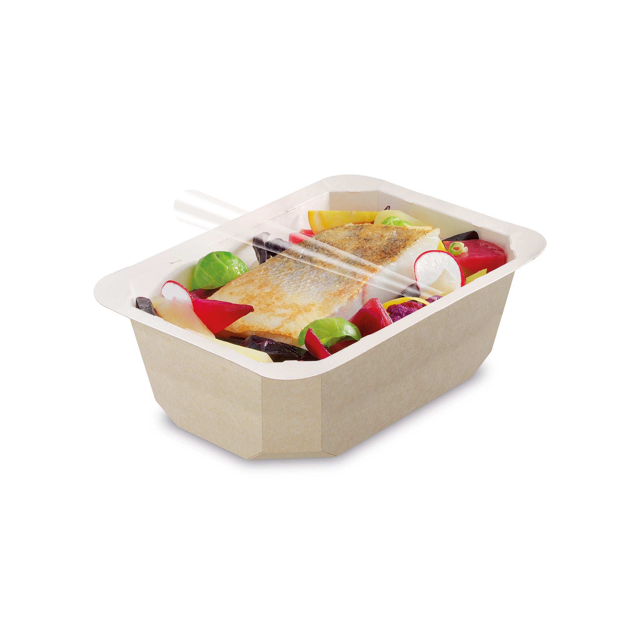 BARQUETTE SCELLABLE CARTON