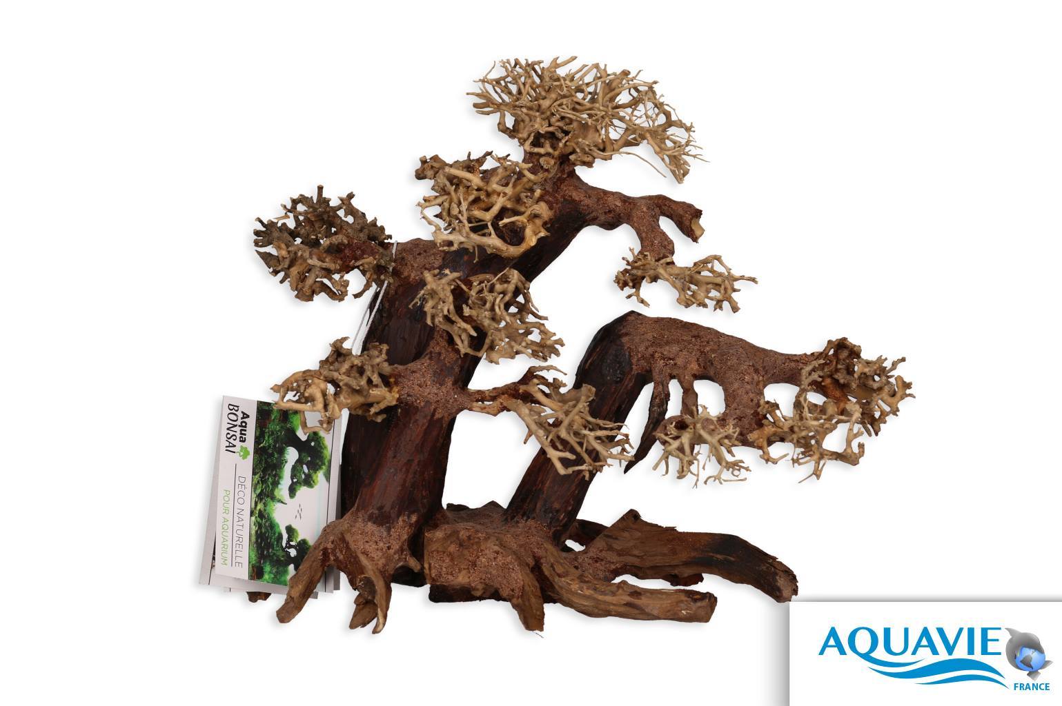 Bois Naturel Arbre Aqua Bonsaï - L / XL 31cm AQUAVIE