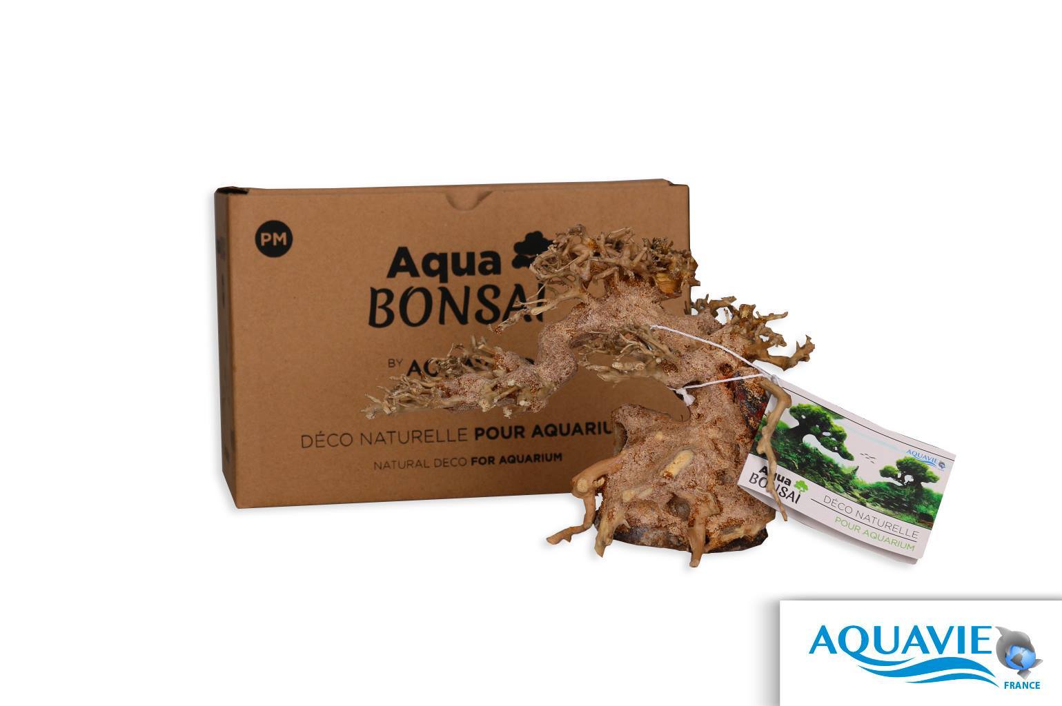 Bois Naturel Arbre Aqua Bonsaï - PM 24cm AQUAVIE