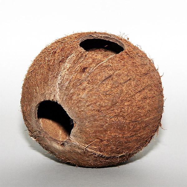 Cocos Cava 1/1 L JBL - Grotte Noix de Coco