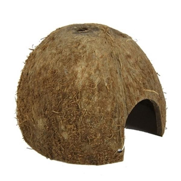 Cocos Cava 1/2 L JBL - Grotte Noix de Coco