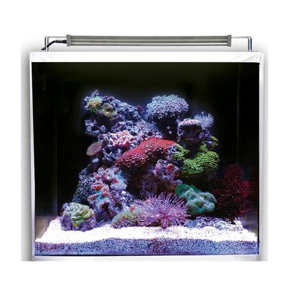Aquarium Nano Ocean Cube Set 80 DUPLA Marin - 80L