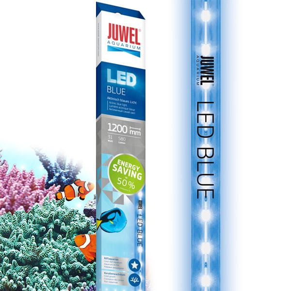 LED Blue JUWEL 1200 mm - 31W