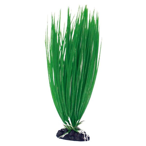 Plante Artificielle Acorus AMTRA