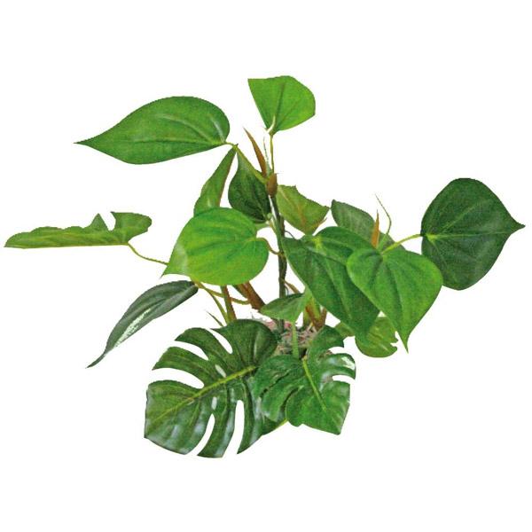 Plante Artificielle Anubias AMTRA - 20 cm