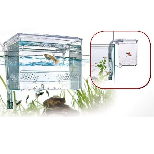 Pondoir Externe Wave Breeding Box L - Wave