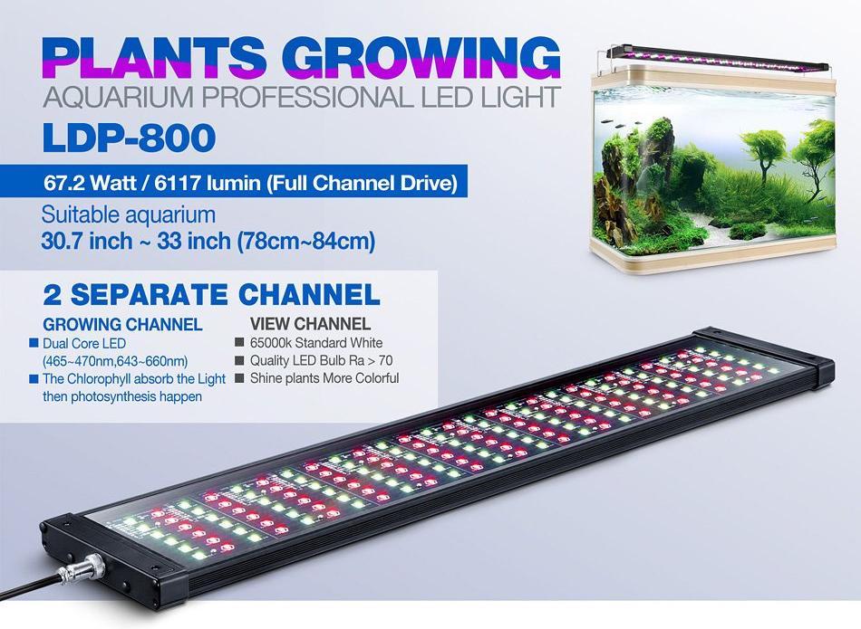 Rampe LED eau douce LICAH - LDP-800