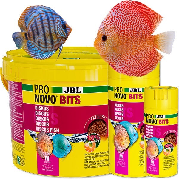 ProNovo Bits Grano M JBL - Aliment de base en Granulés pour Discus et autres cichlidés d'Amérique du Sud de 8 à 20 cm