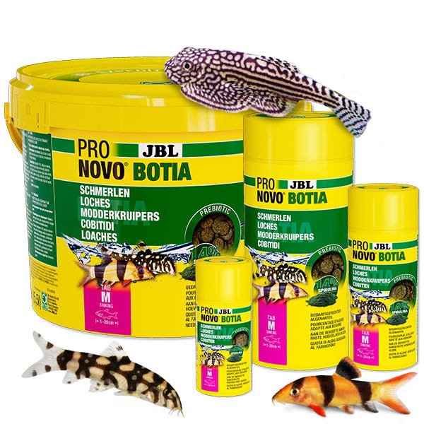 ProNovo Botia Tab M JBL - Aliment de base pour toutes les Loches de 1 à 20 cm