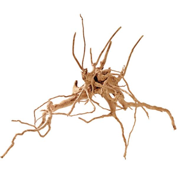 Racine Naturelle FingerWood - S 20 à 30cm HOBBY