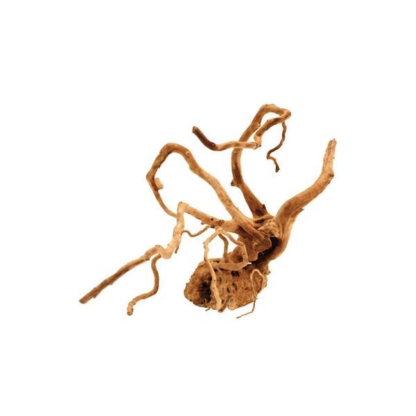 Racine Naturelle Legno Red Wood - 40 à 45cm AMTRA