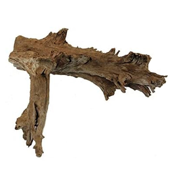 Racine Naturelle de Mangrove - XL 50 à 70 cm HOBBY