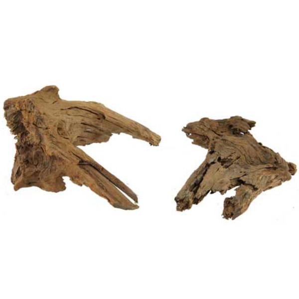 Racine Naturelle de Mangrove - L 40 à 55 cm HOBBY