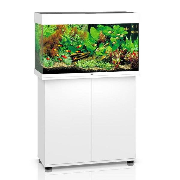 Aquarium Rio 125 LED Blanc Équipé JUWEL - 125L