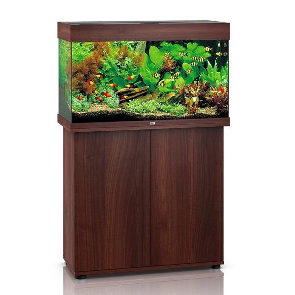 Aquarium Rio 125 LED Brun Équipé JUWEL - 125L