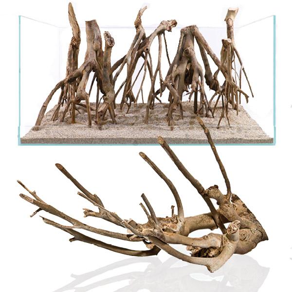 Racine Naturelle Talawa Wood - 15 à 100 cm le kg AQUADECO