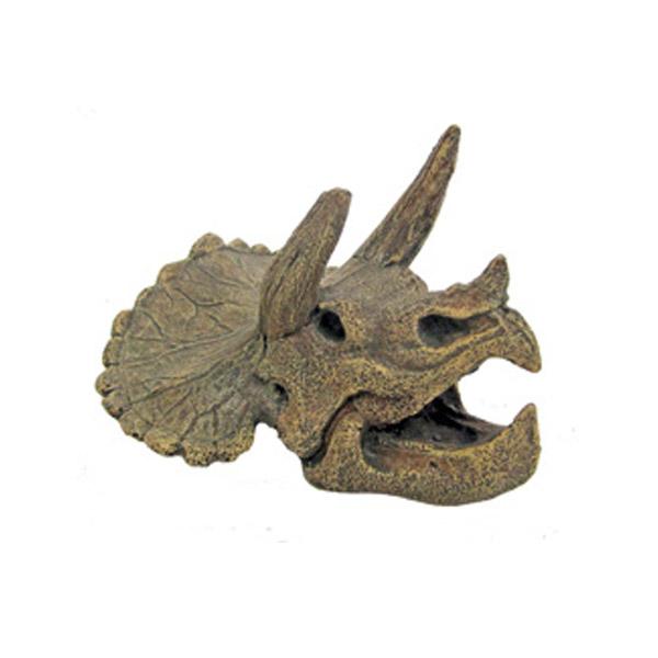 Crâne de Tricératops AMTRA - 15 cm