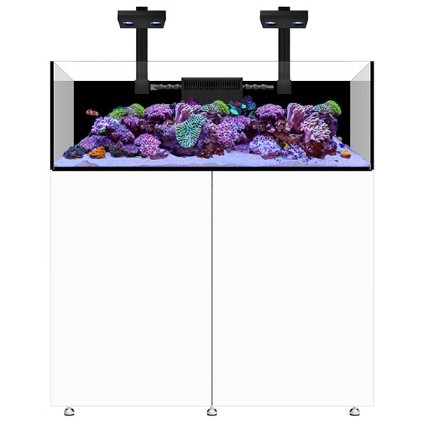 Infinia Frag 125.4 Blanc WATERBOX - Aquarium Récifal 295 L