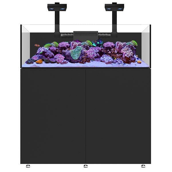 Infinia Frag 125.4 Noir WATERBOX - Aquarium Récifal 295 L