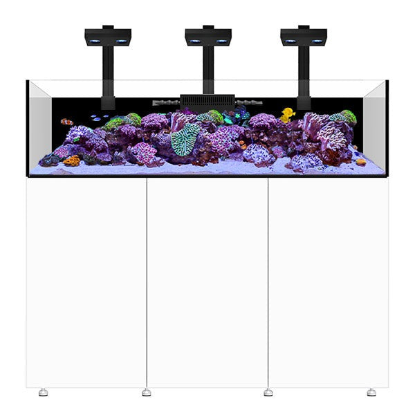 Infinia Frag 155.5 Blanc WATERBOX - Aquarium Récifal 370 L